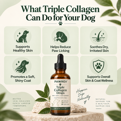 PawRev Triple Collagen Drops